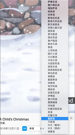 Dualsub（通用字幕渲染器）V1.65.2