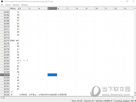 CSView(CSV查看器)