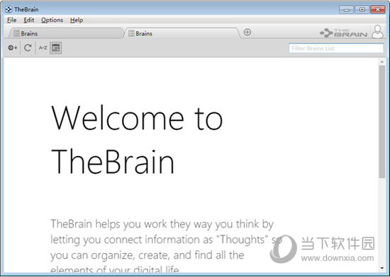 TheBrain